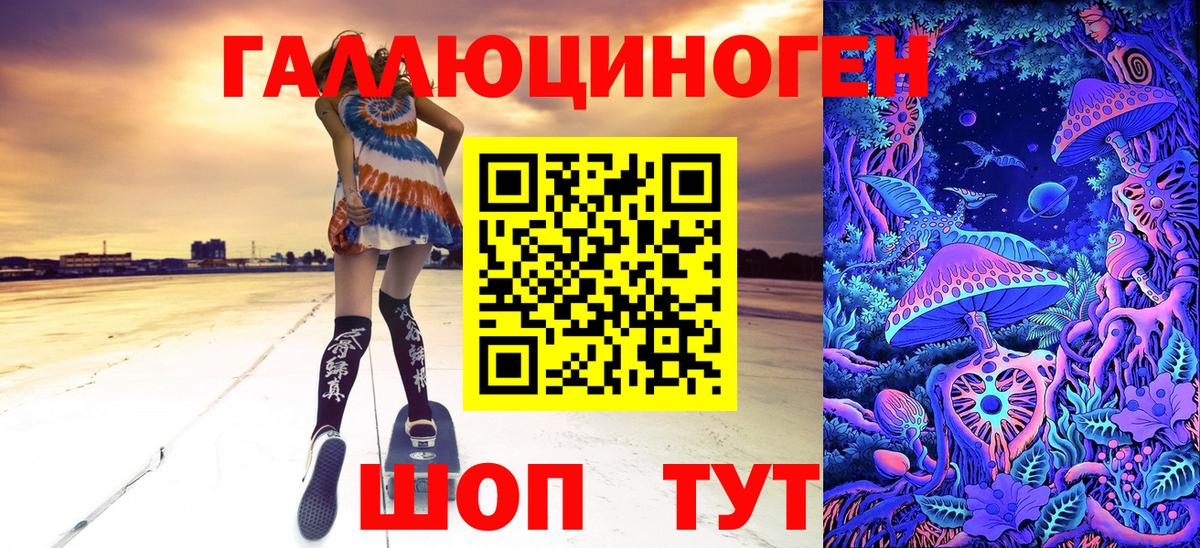 Псилоцибиновые грибы Psilocybe  Вход с VPN  Дивногорск 